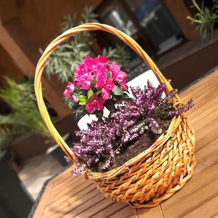 アパートホテル Hacienda エゲル