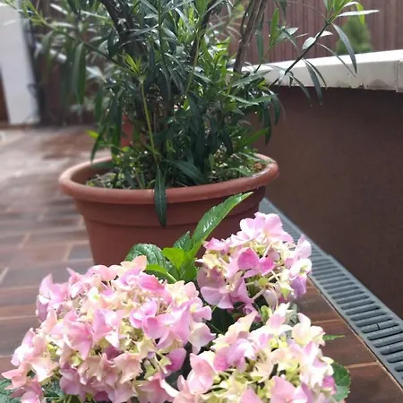 Hacienda * エゲル